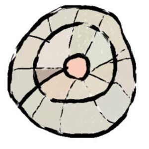 cropped-favicon-300x300